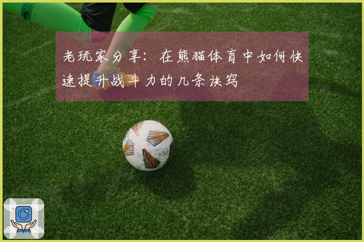 老玩家分享：在熊猫体育中如何快速提升战斗力的几条诀窍